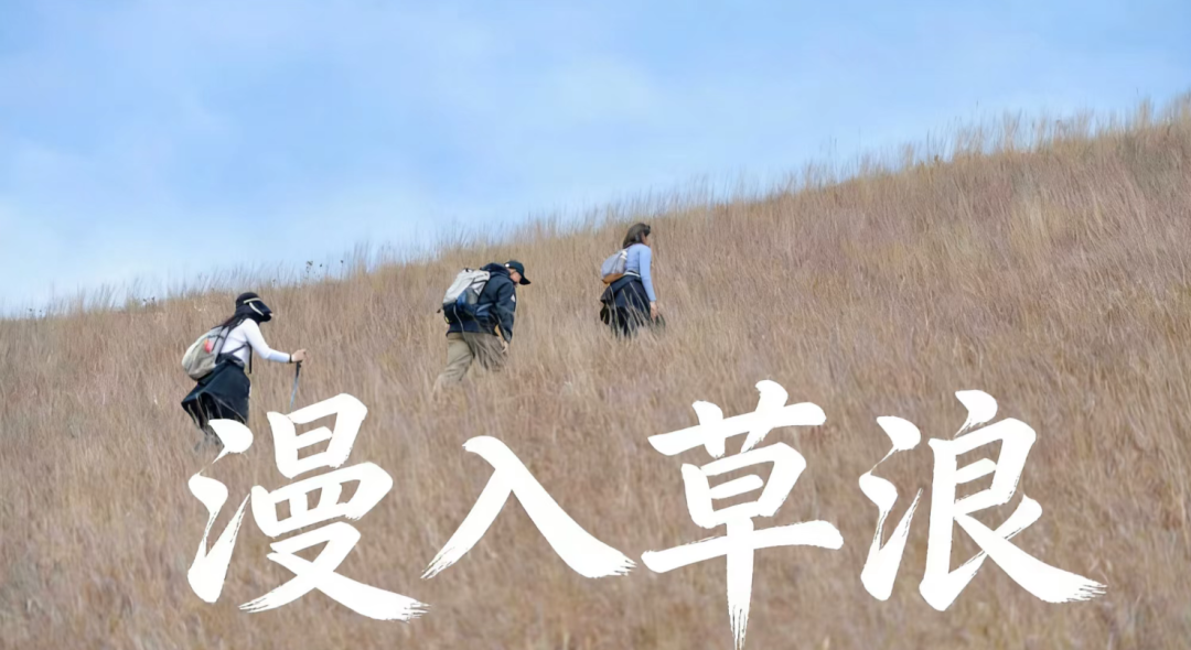 福田口岸→香港鸡公岭徒步｜终点罗湖口岸保姆级攻略：港版武功山太好拍 配图 29