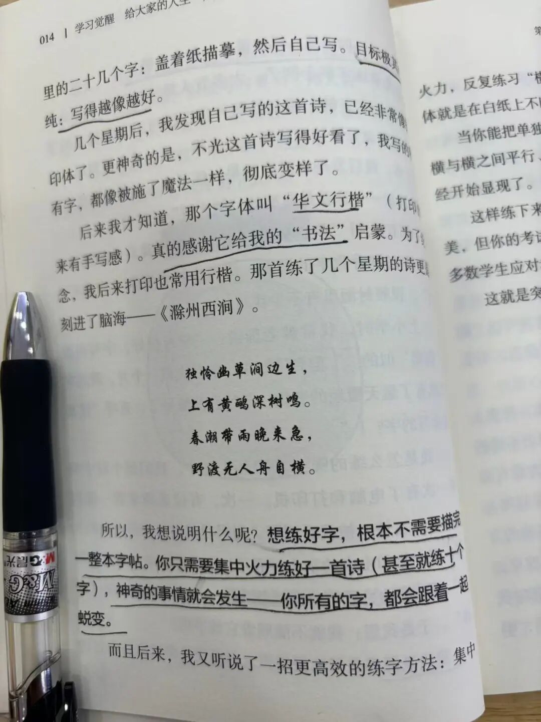 朋友投稿: 学习觉醒——在输出与微习惯中遇见成长 配图 8