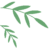 深圳打工人周末出逃计划！香港长洲岛，当一天“慢灵魂”岛民 配图 1