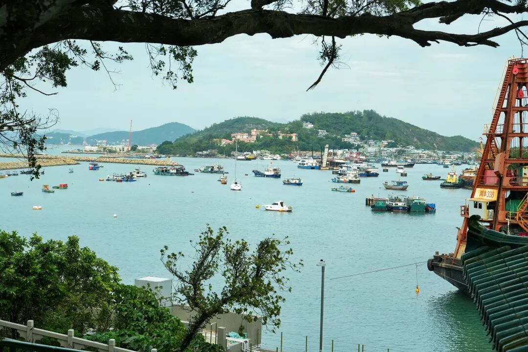 深圳打工人周末出逃计划！香港长洲岛，当一天“慢灵魂”岛民 配图 13