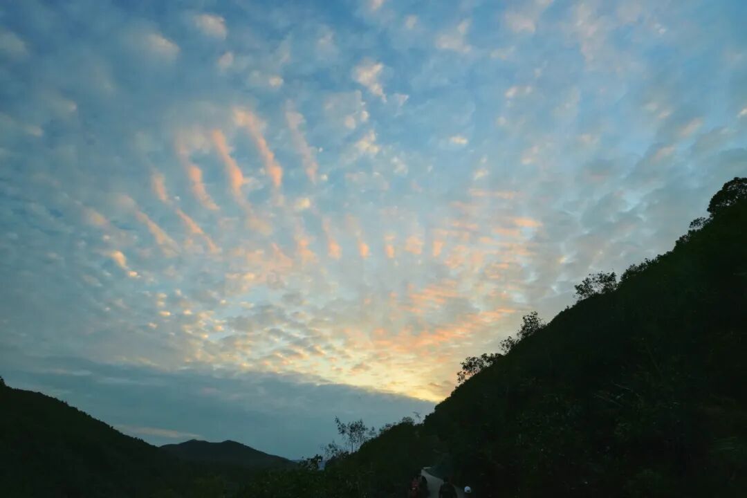 同我去行山！7个钟睇尽香港靓到“离谱”嘅海！ 配图 24
