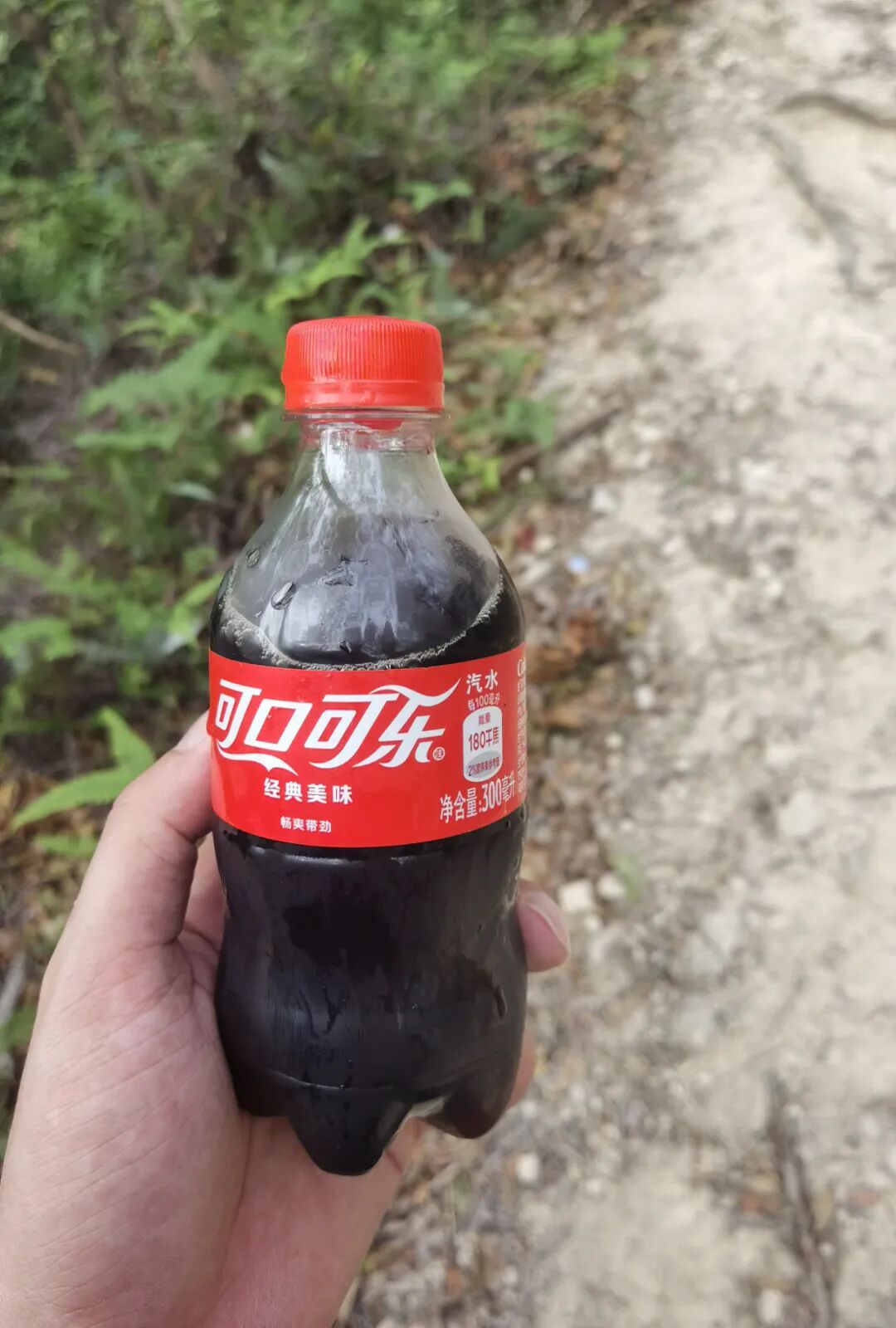 同我去行山！7个钟睇尽香港靓到“离谱”嘅海！ 配图 27