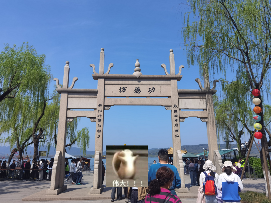 在杭州，遇到了“笨”一点也没关系的善意 配图 2
