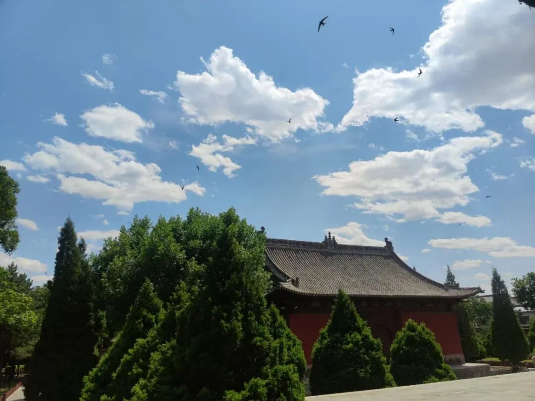 最近刷片记录 |又哭又笑，敬每一个勇敢出发的自己 配图 16